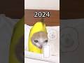 The Story of Banana Cat😹🍌｜2024 Bananacat📱