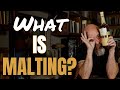 What Is Malting Basil Hayden Malted Rye