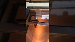 IMG 3022