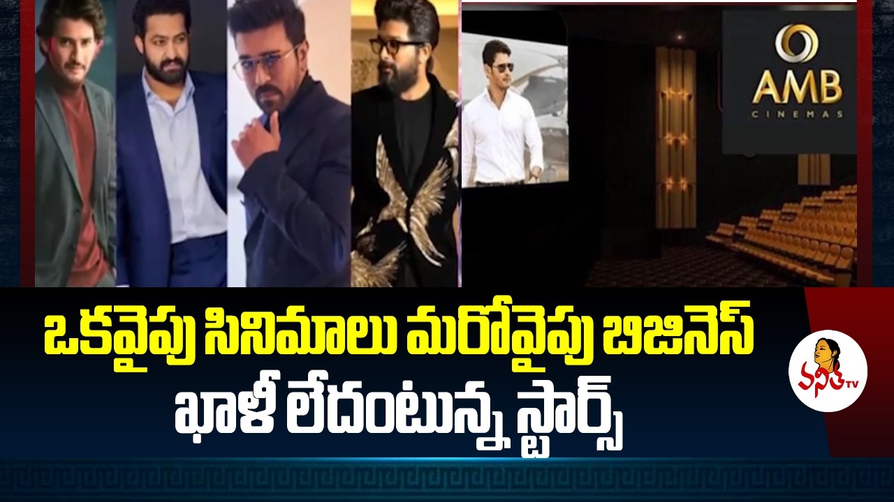 ఒకవైపు సినిమాలు మరోవైపు బిజినెస్‌ ఖాళీ లేదంటున్న స్టార్స్‌ | Tollywood Heroes Businesses