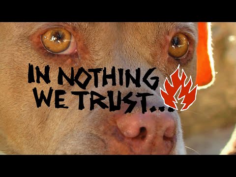 Black Label In Nothing We Trust