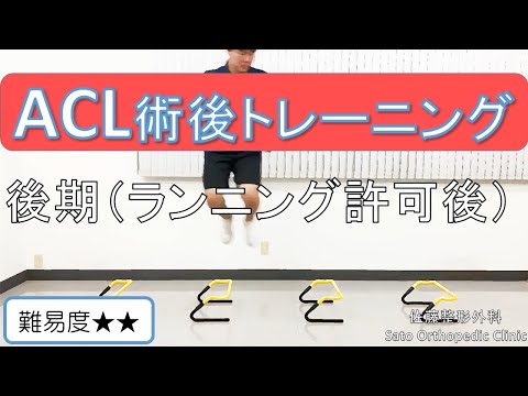 ACL 再建術前後のリハビリテーション ACL再建術前後のリハビリテーションの科学的基礎 (Sports