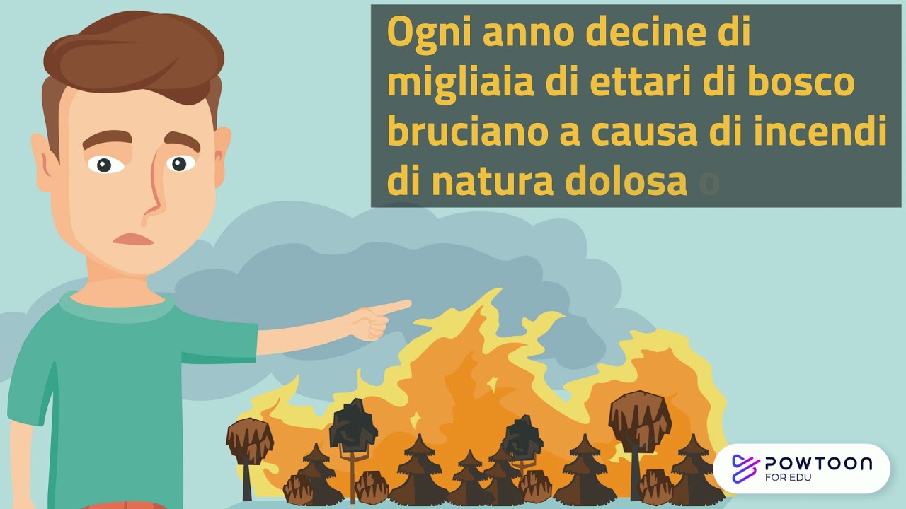 Cosa fare in caso di incendio boschivo