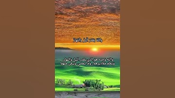 سورة المزمل الآية (٢٠) بصوت القارئ إسلام صبحي