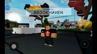 Roblox Brookahven Rp Hacker