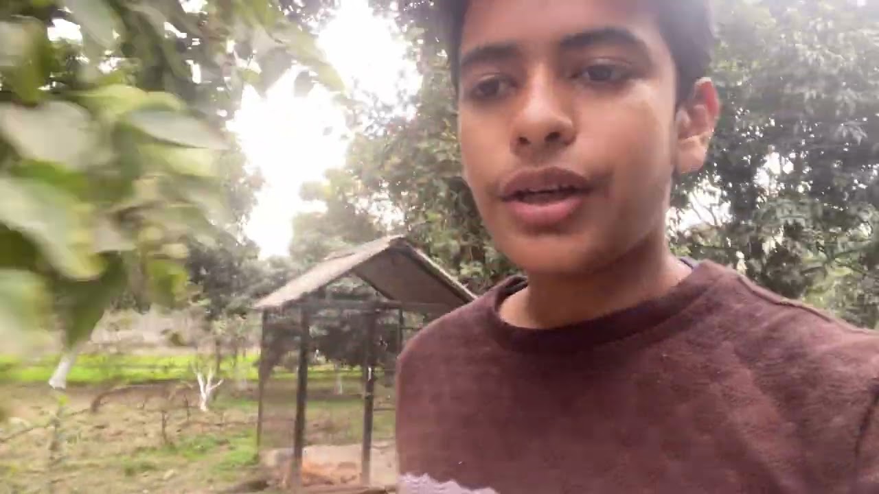 hi, guys today i have taked a decision of my new project that is my garden are recreation 🤔😓