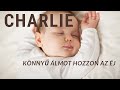 CHARLIE - Könnyű álom - (Official Music Video)