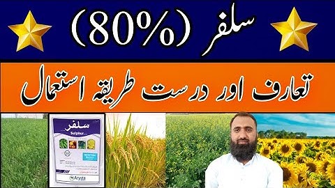 Uses of Sulphur 80% in different crops || Bilal Kanju Official