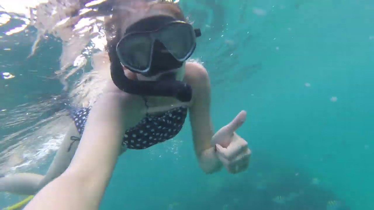 Snorkeling in Jamaica Jewel Paradise Cove Resort YouTube
