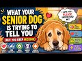 What Your Senior Dog Is Trying to Tell You (But You Keep Missing)”