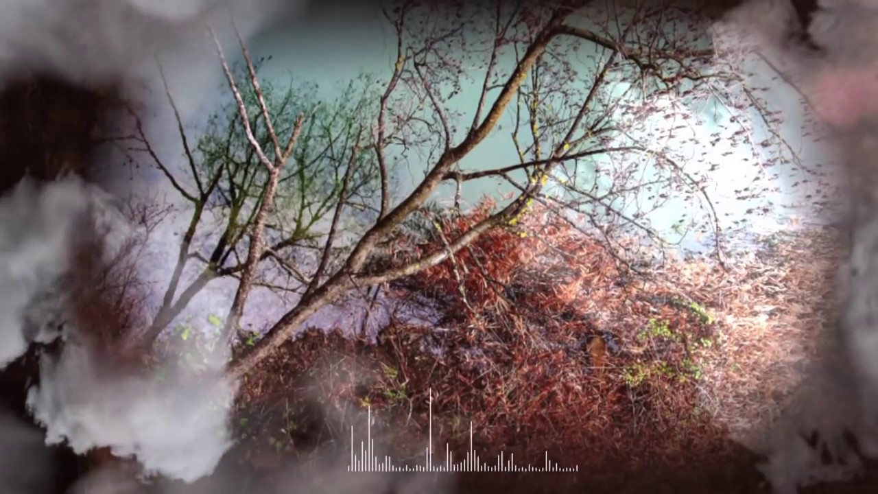 It took a moment (Cover of Siddharta)