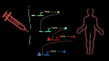 Course 0: Lesson 0: Introduction to Biomodeling