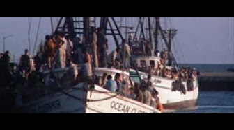 Scarface 1983 Film Completo Italiano Youtube