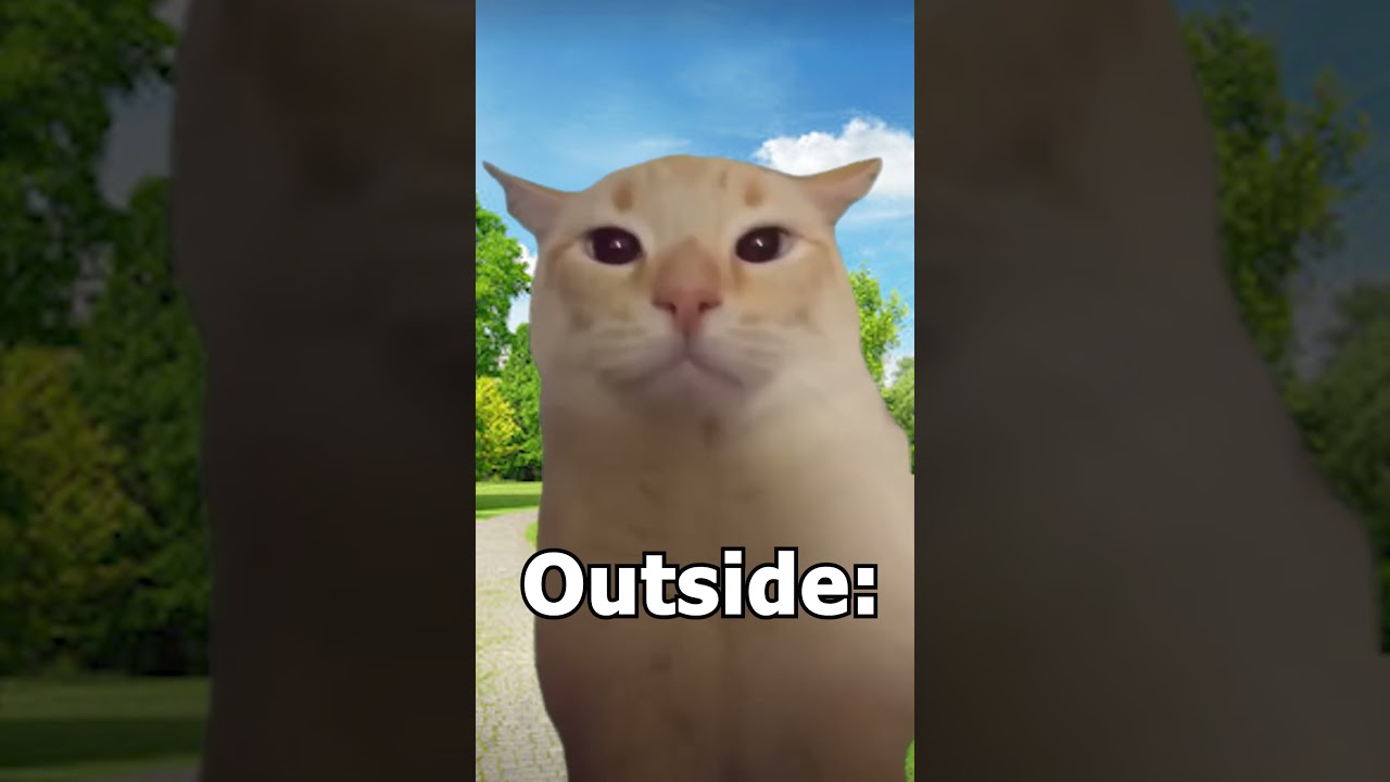 CAT MEMES 🐱 POV: ME at Home VS Outside 