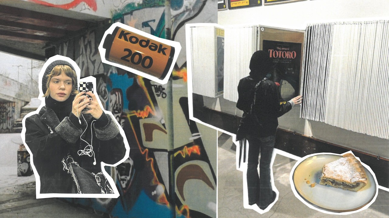 únorový vlog, vinted haul