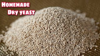 Dry Yeast Making at Home | How to make yeast at home | convert starter to dry yeast | yeast making