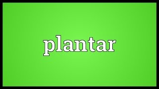 Plantar Meaning