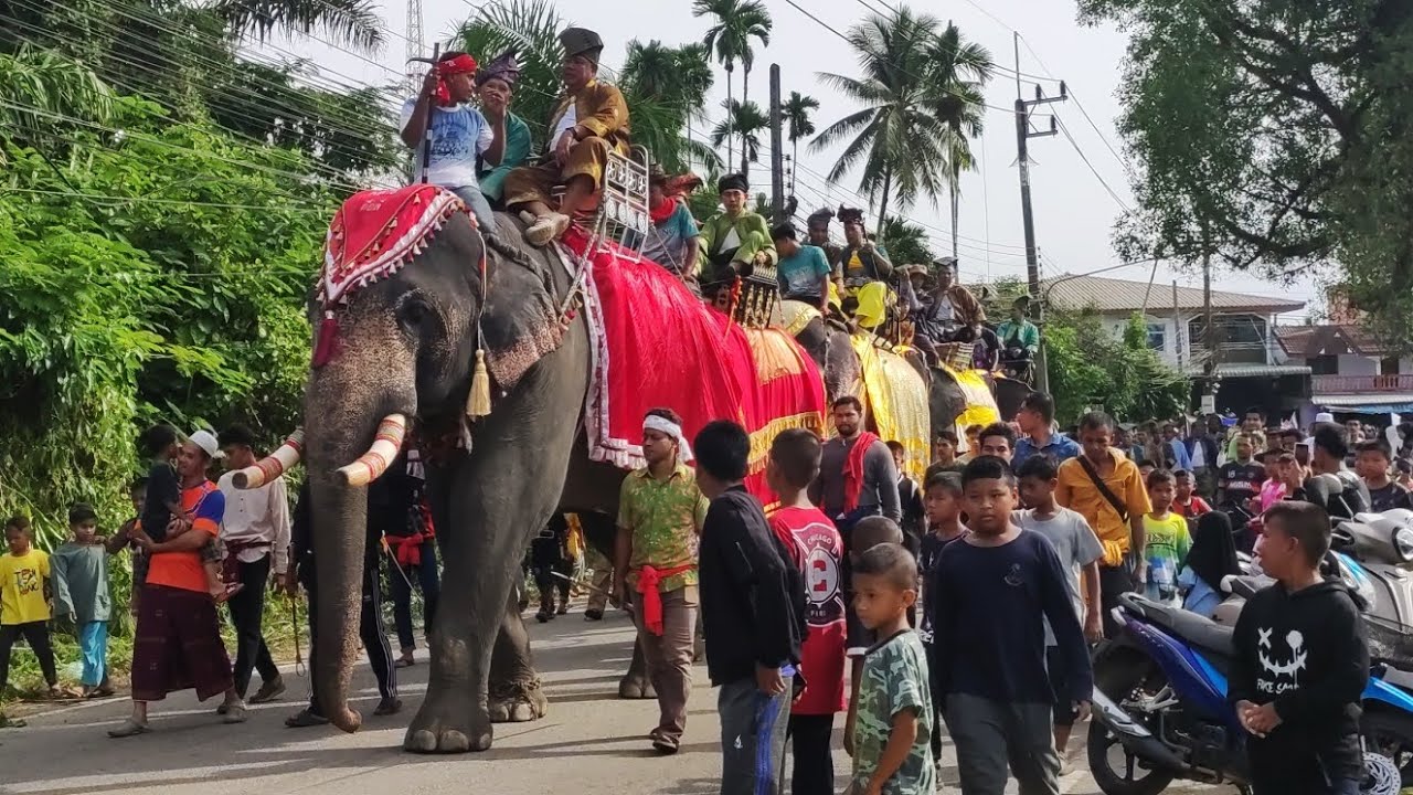 ขบวนช้าง | อบต.ดุซงญอ | นราธิวาส
