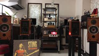 STING  LPレコード　SHAPE OF  MY  HEART