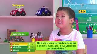 Қайырлы таң. 26.11.2018 күнгі шығарылым