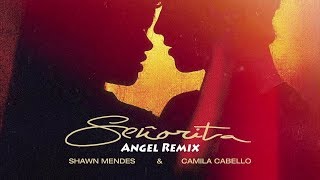 Shawn Mendes  Camila Cabello -  Señorita