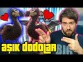 ARK SURVİVAL EVOLVED - Sezon 2 - AŞIK DODOLAR !!!