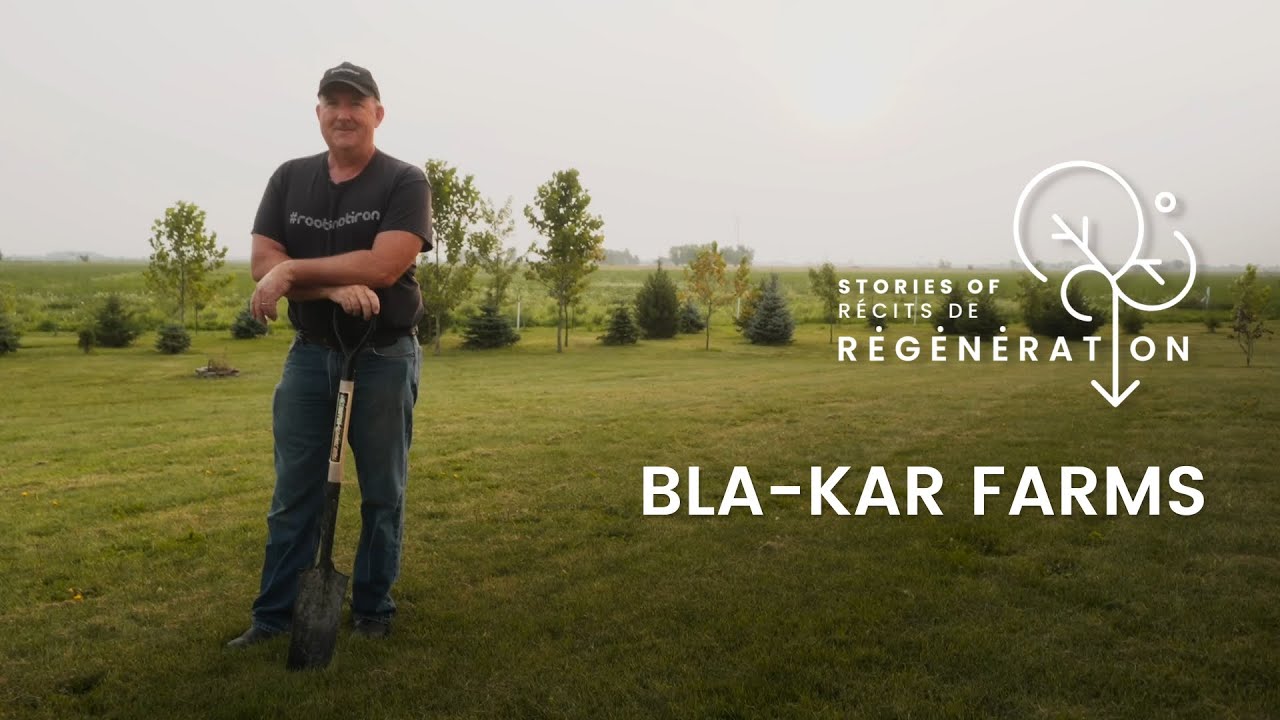 No-till farming at Bla-Kar Farms - Stories of Regeneration