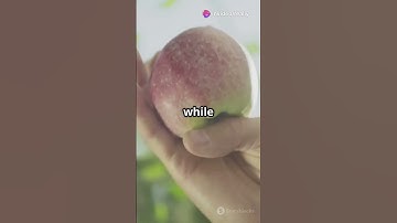 Did an Apple Really Hit Newton