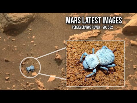 NASA's Mars Perseverance Rover capture new images on Martian surface on sol 502 | Mars Latest Pics