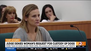 Dozens of dogs can returned to rescues after Chandler court hearing