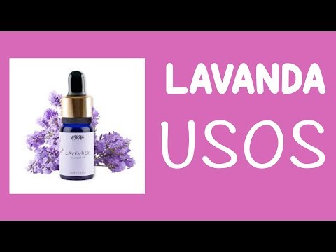 Propiedades y Usos del Aciete Esencial de Lavanda Propiedades y Usos del Aciete Esencial de Lavanda