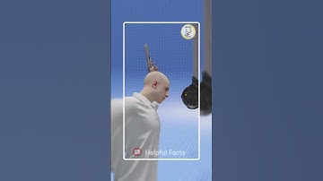 Is It Possible To Catch An Arrow? (3D Animation in Hindi) #factsinhindi #arrow #3danimation #views