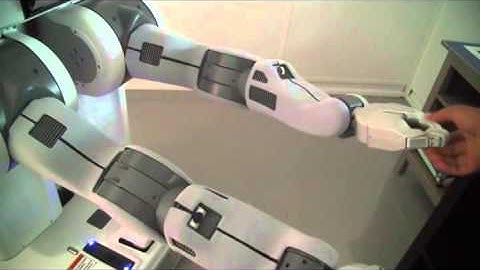 Self Collision Avoidance using 