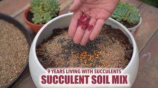 HOW TO MAKE SUCCULENT SOIL MIX - From Beginner to Master | 9 Years Living with Succulents