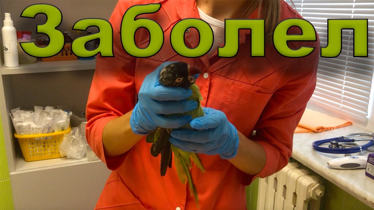 Голбчик у печки что