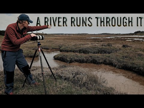 A River Runs Through It | Landscape Photography | Woodland Photography