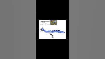Microraptor Showcase+ Link//Stick Nodes Pro// #dinosauranimation #dinosaur #sticknodes #dinosaurus