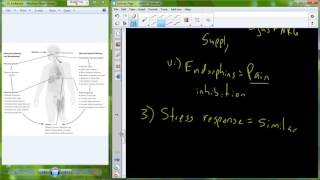 ES 102 Lecture 3 Stress