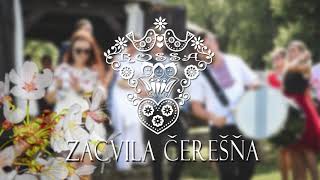 Video thumbnail of "ROSSA - Zacvila čerešňa 2017"