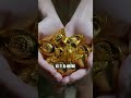 Người mới nên trade vàng hay bitcoin #traderdochanh #giaodichvang #crypto #forex