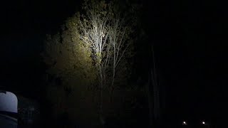 SOFIRN SF36 1070 Lumen Flashlight L2Survive with Thatnub
