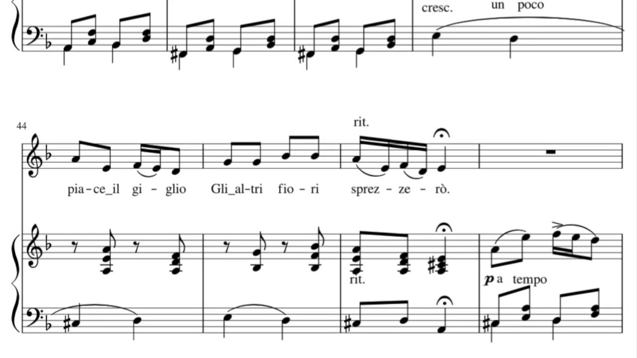accompaniment dminor lowkey se tu mami se tu sospiri youtube se tu m ami sheet music