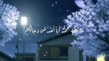 (مَّا كَانَ مُحَمَّدٌ أَبَآ أَحَدٍۢ مِّن رِّجَالِكُمْ) تلاوة للقارئ الشيخ محمود الشحات أنور 🌹
