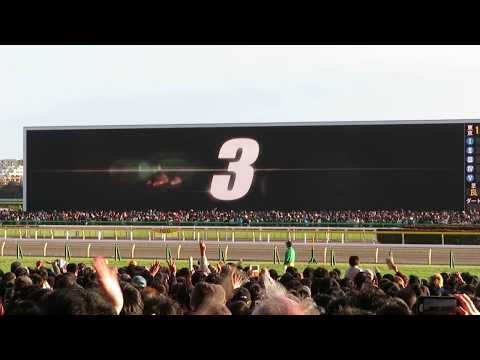 2017　ジャパンカップ　ファンファーレ前から第一コーナーまで