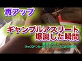 ギャンブルアスリートになった爆誕【狂気競馬実戦録過去動画再アップ総集編】