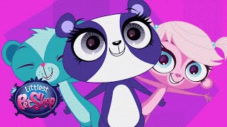 Littlest Pet Shop - 'Won't Have to Look Too Far' Official Music Video
