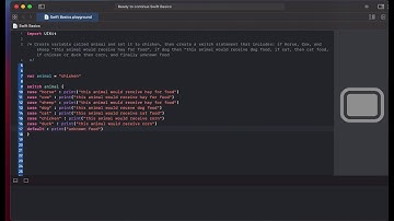 Swift Conditionals (If Else) Practice Problems