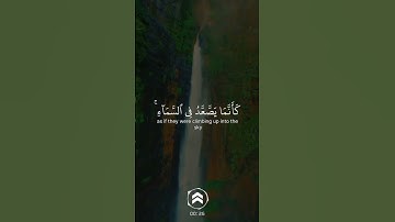 Surah Al AnamAl Sheikh Yasser Al-dosari | سورة الانعام الشيخ ياسر الدوسري