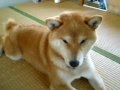 衝撃!!　紙ふぶき工場の裏側
