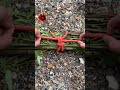 爷爷教的捆柴结 #绳结技巧 #绳结#生活#妙招#技巧#分享#shorts